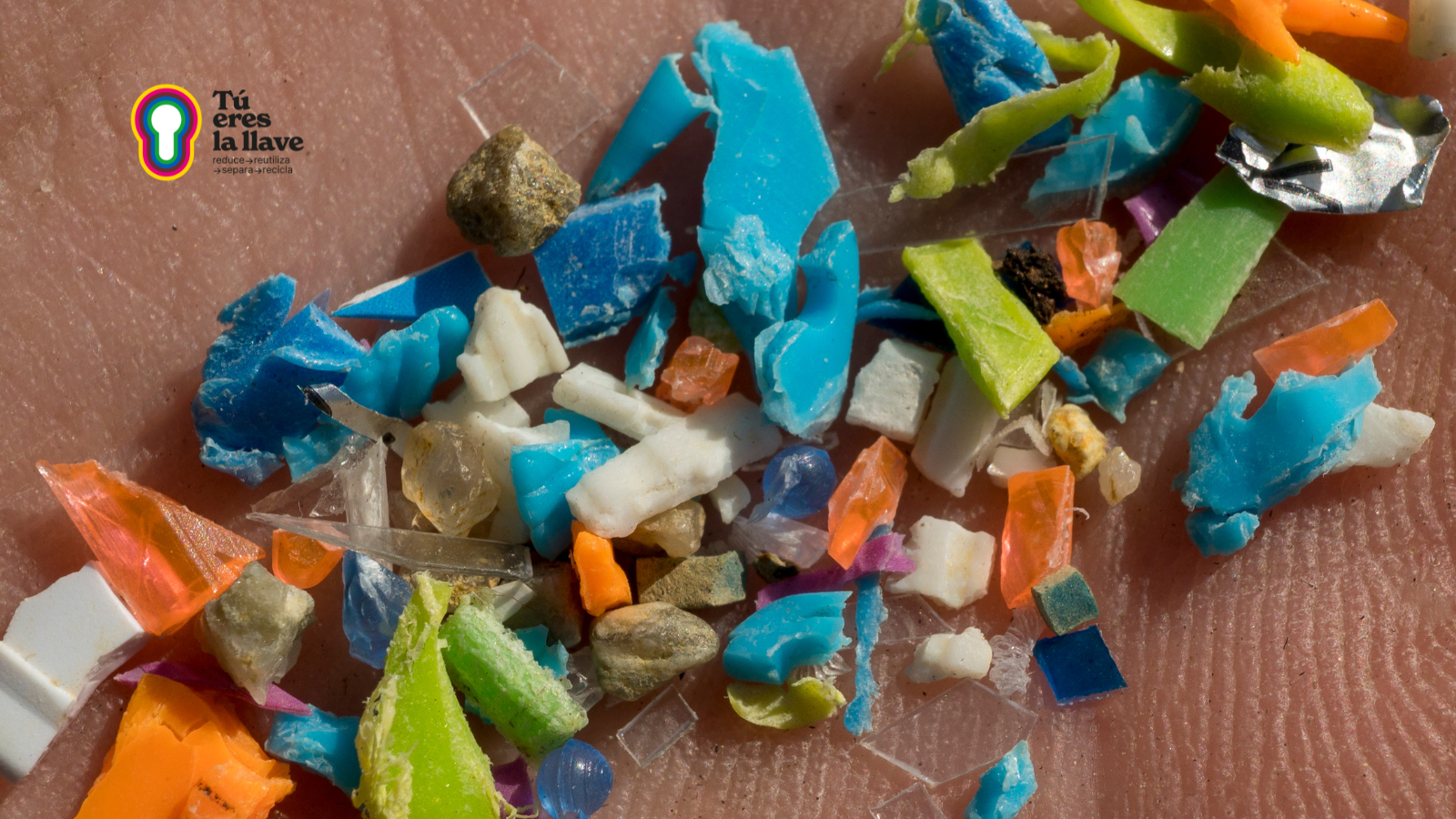 Lee más sobre el artículo El impacto de los microplásticos en el planeta